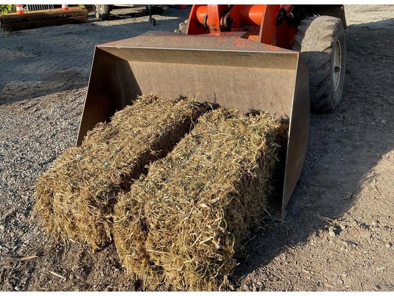 product image for PEA STRAW - Regular Bale