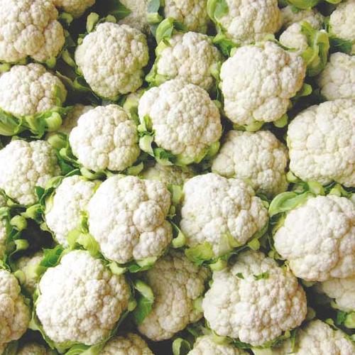 image of Cauliflower (All Year Round) - 6 Cell