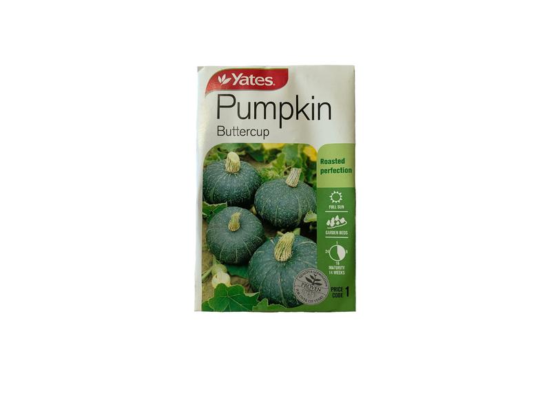 product image for Yates Code 1 - Pumpkin