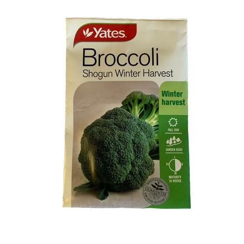 image of Yates Code 2 - Broccoli