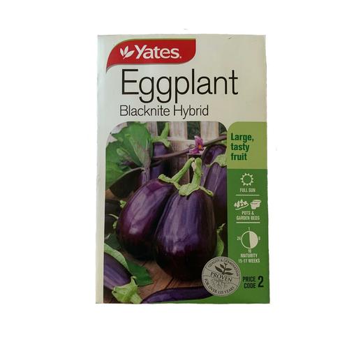 image of Yates Code 2 - Eggplant
