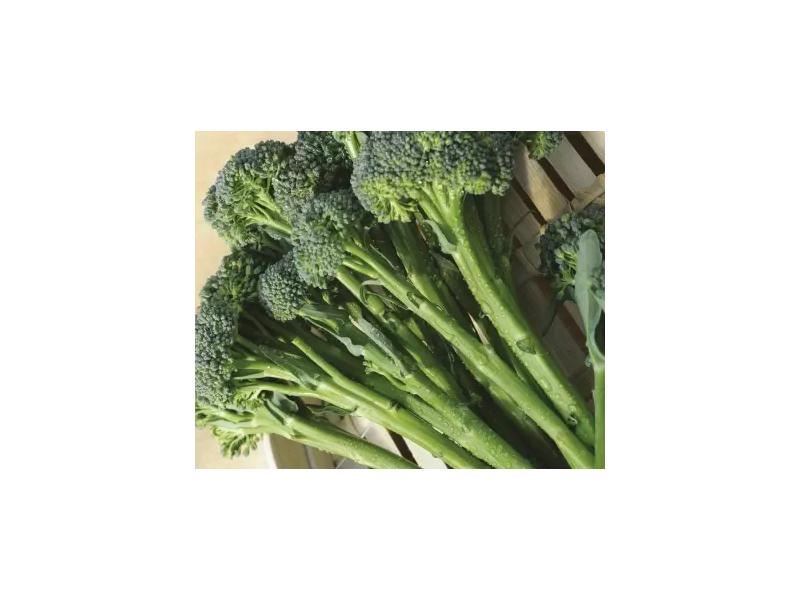 product image for Broccoli (Tenderstems) - 6 Cell