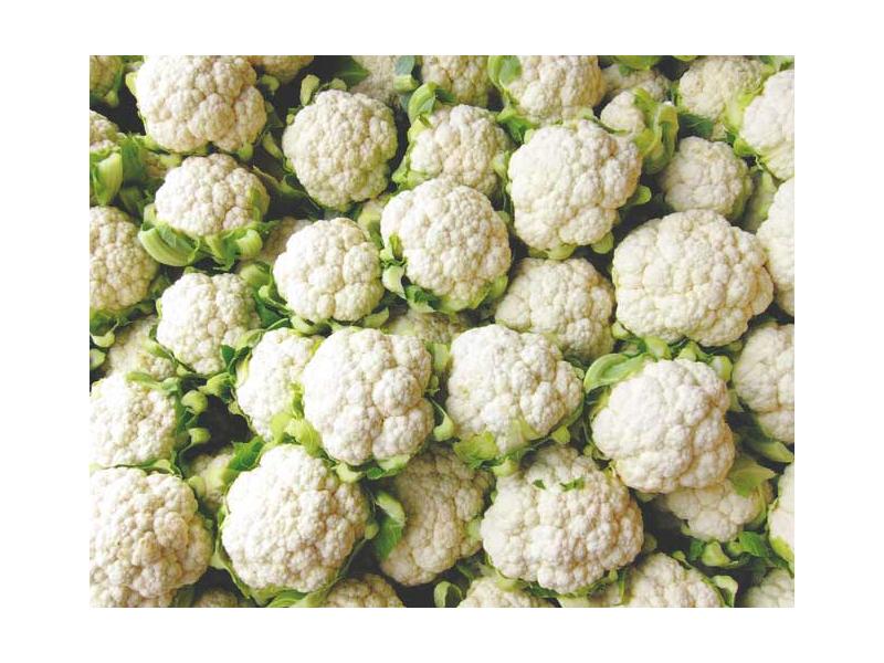 product image for Cauliflower (All Year Round) - 6 Cell
