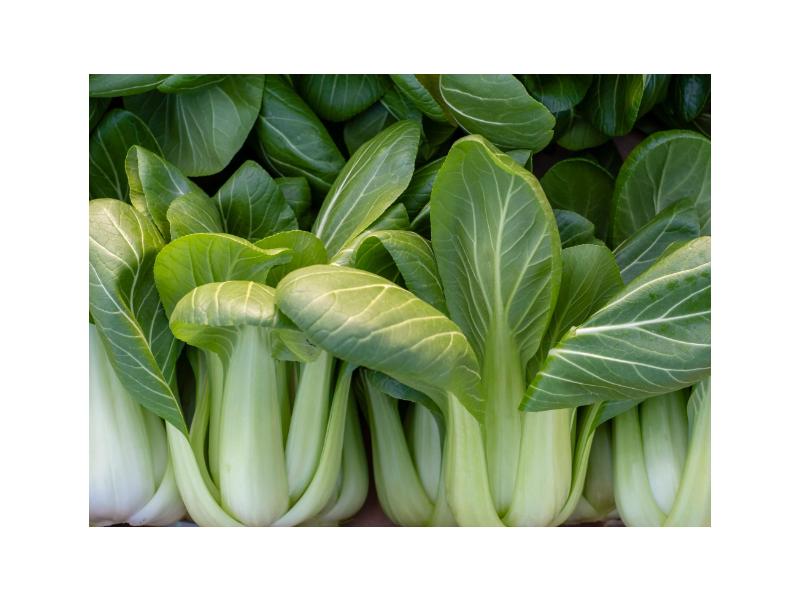 product image for Bok Choi - 6 cell 