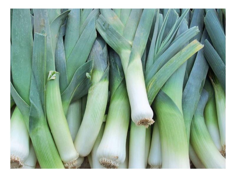 product image for Leek (Musselburgh) - 6 cell