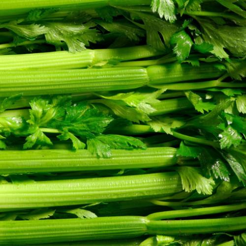image of Celery - 6 Cell