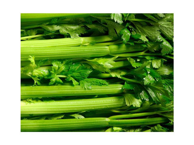 product image for Celery - 6 Cell